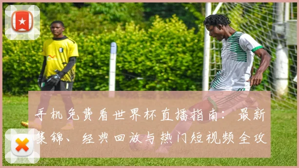 手机免费看世界杯直播指南：最新集锦、经典回放与热门短视频全攻略